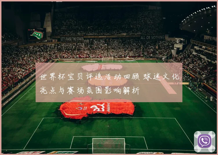 世界杯宝贝评选活动回顾 球迷文化亮点与赛场氛围影响解析