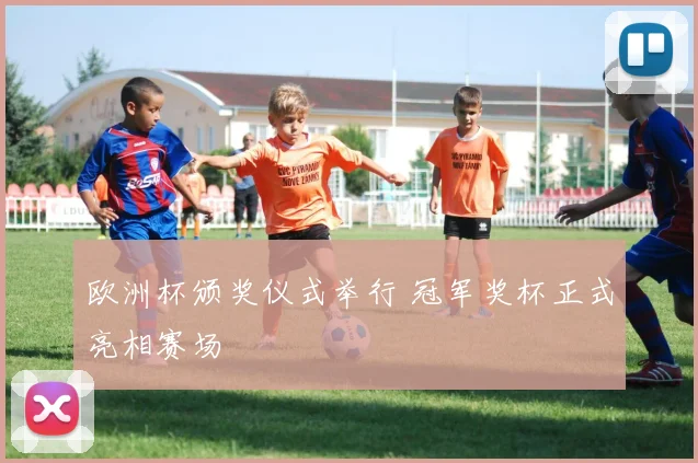 欧洲杯颁奖仪式举行 冠军奖杯正式亮相赛场