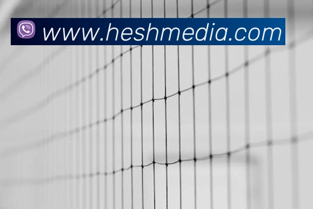 乐竞网站平台生态图