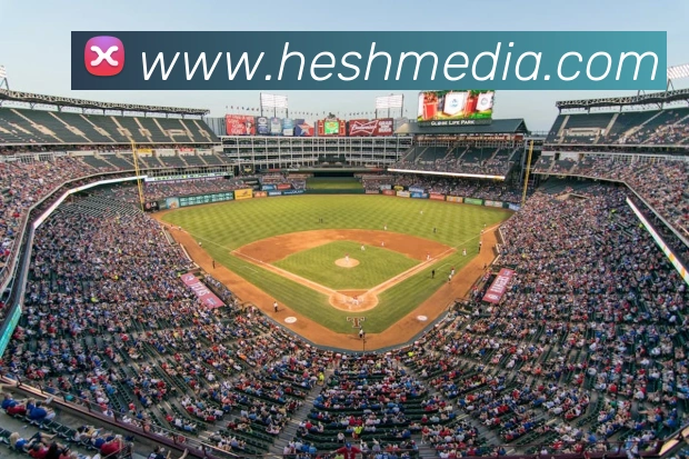 乐竞网站APP 封面图